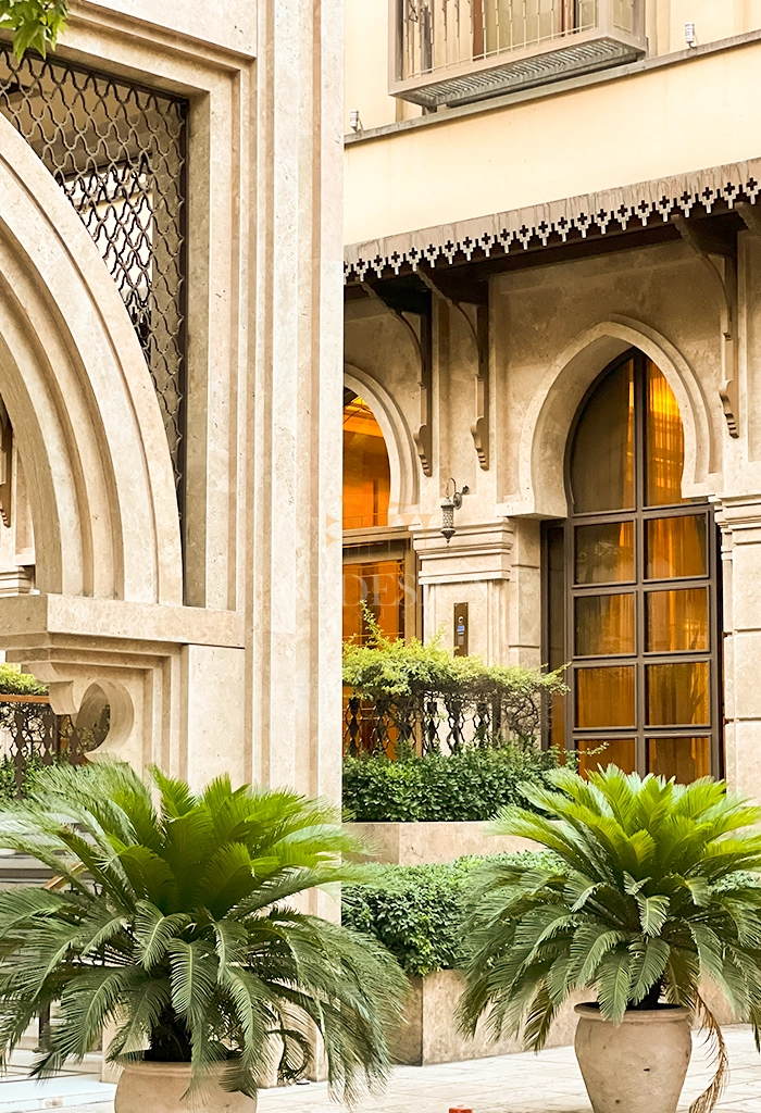 بتیس محسنیان